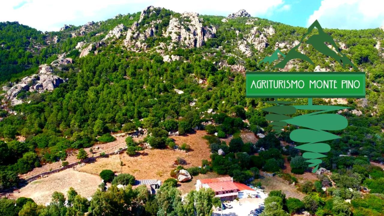 Agriturismo Monte Pino Telti Экстерьер фото