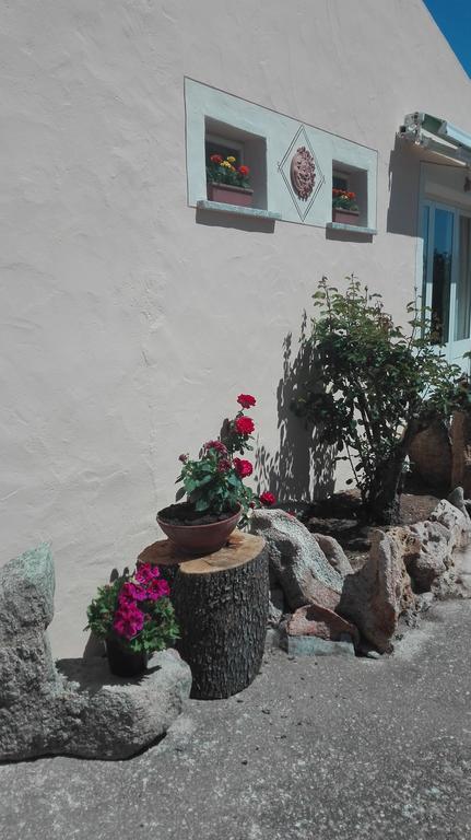 Agriturismo Monte Pino Telti Экстерьер фото