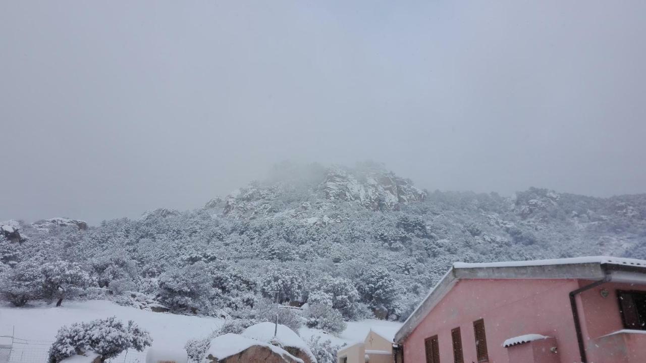 Agriturismo Monte Pino Telti Экстерьер фото