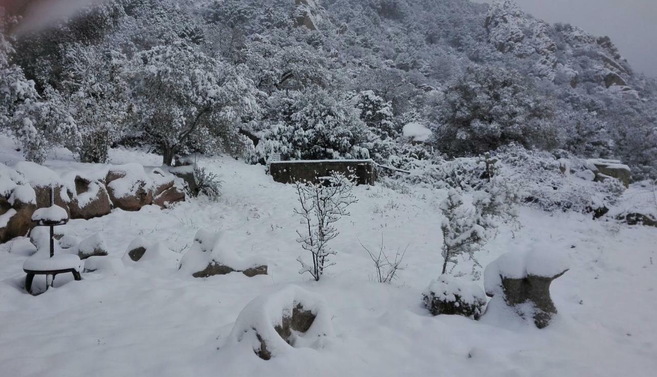Agriturismo Monte Pino Telti Экстерьер фото