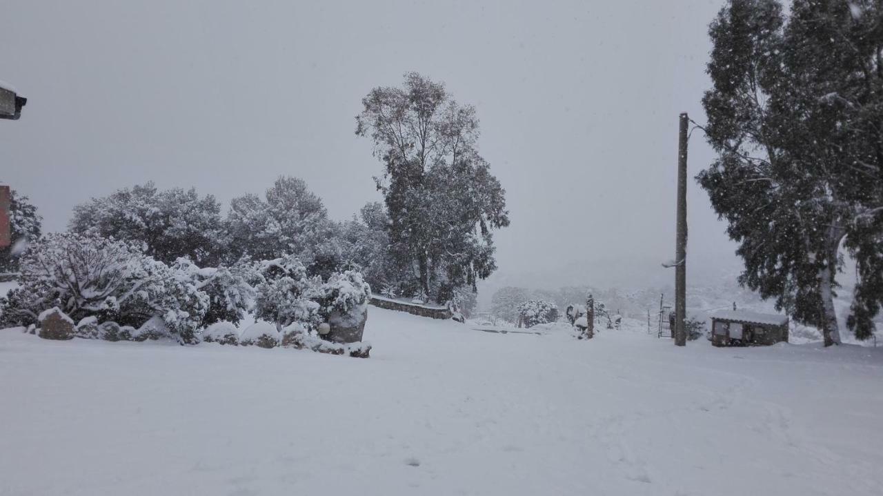 Agriturismo Monte Pino Telti Экстерьер фото