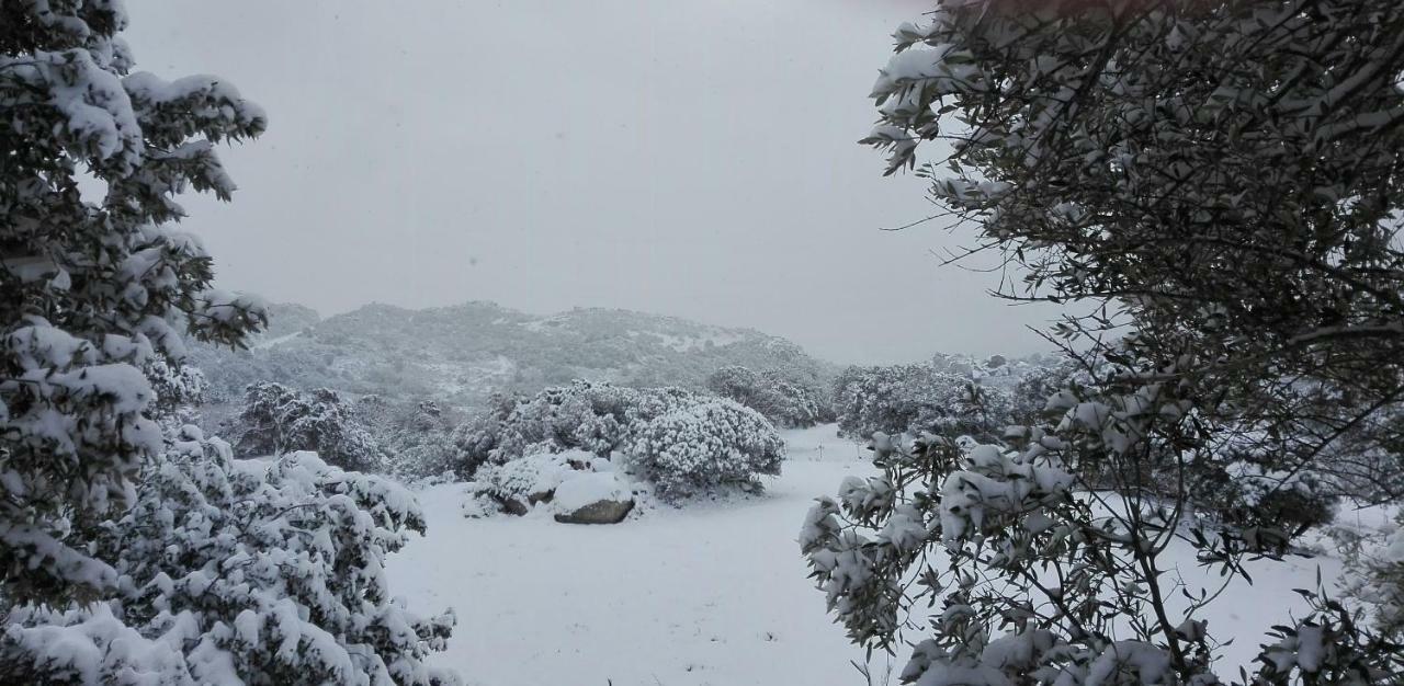 Agriturismo Monte Pino Telti Экстерьер фото