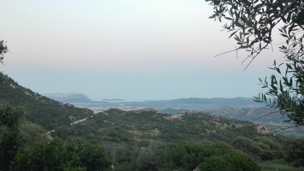 Agriturismo Monte Pino Telti Экстерьер фото